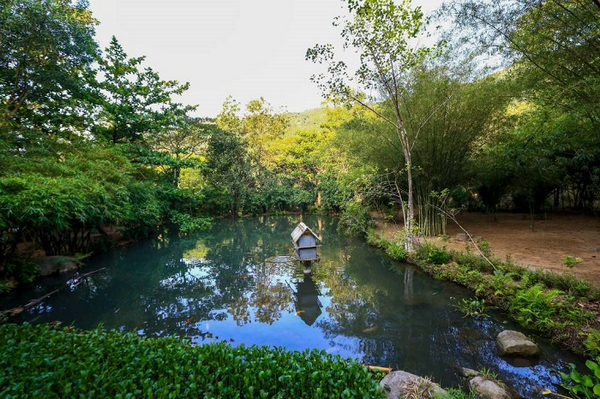 Sơn Trà Tịnh Viên một khu vườn tre đặc biệt, với hơn 100 loại tre khác nhau tạo nên không gian xanh mát quanh năm