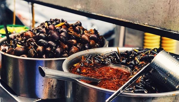Ốc hút Thanh là quán ốc ngon Đà Nẵng, nổi tiếng với phục vụ tận tình và cách chế biến món ăn độc đáo.