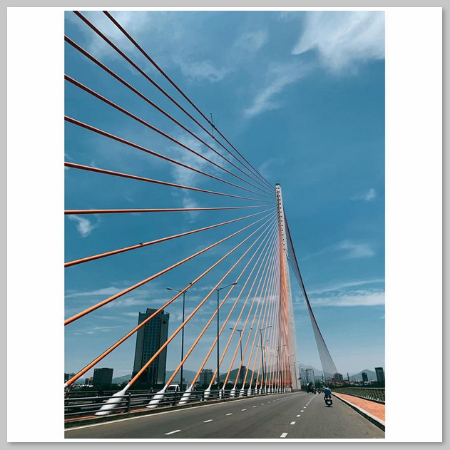 Cầu Trần Thị Lý có tổng chiều dài 731m và một trong những cây cầu biểu tượng của thành phố Đà Nẵng